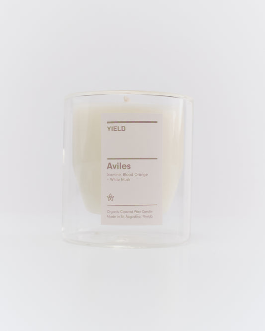 Aviles Double Wall Candle